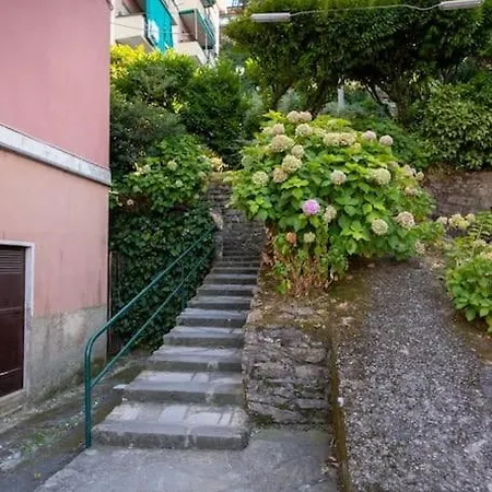 Noemi House 公寓 拉帕洛